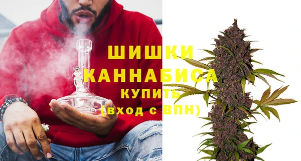 прущие грибы Алзамай